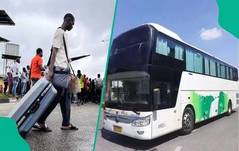 ifesinachi transport online booking